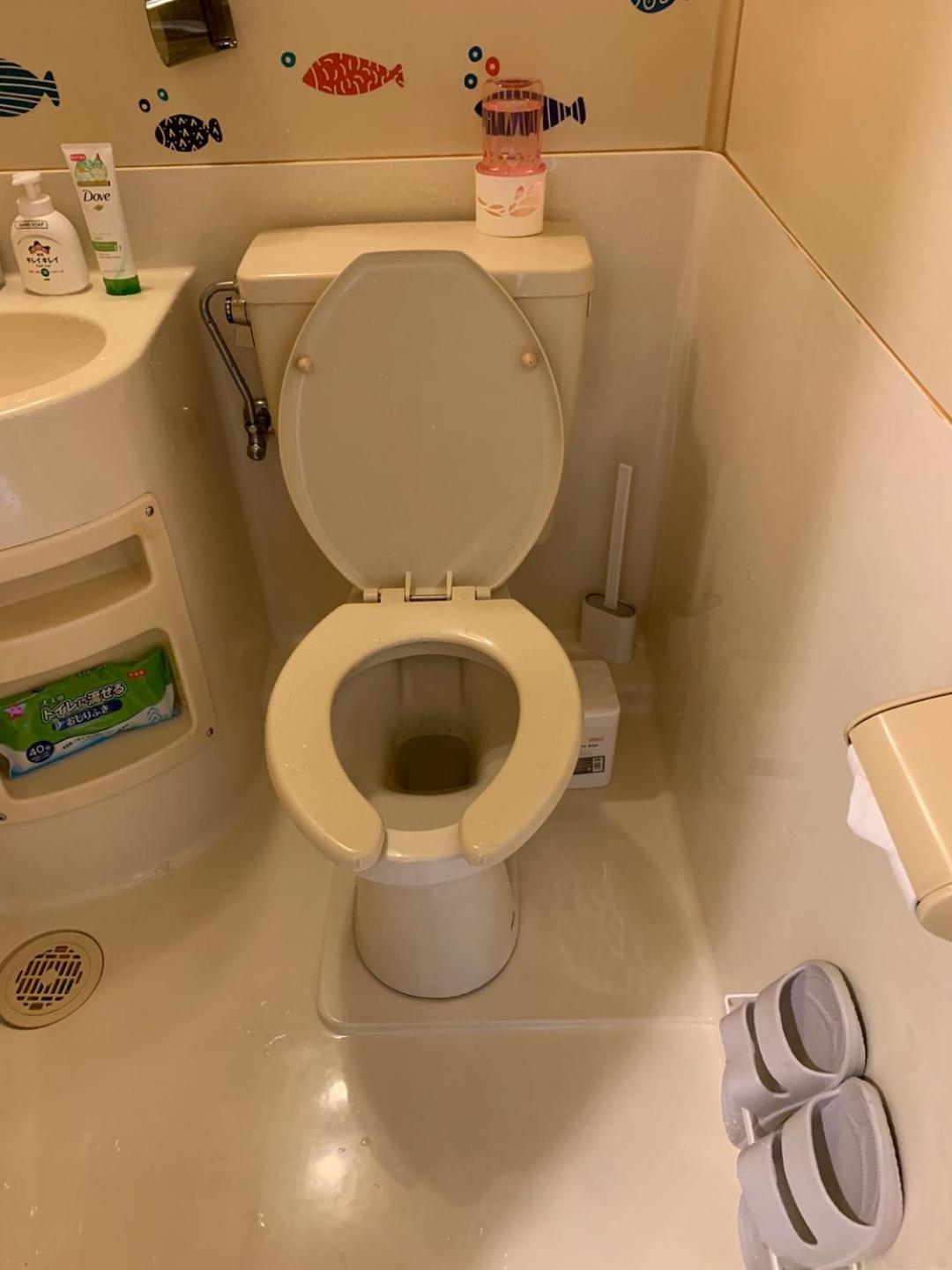 Apartment 803 Near Koiwa Station Walk 1min *