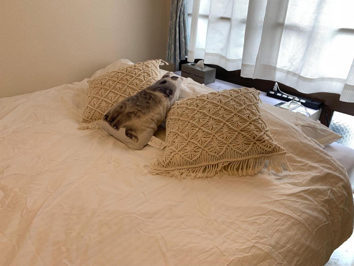803 Near Koiwa Station Walk 1min Apartment Tokyo