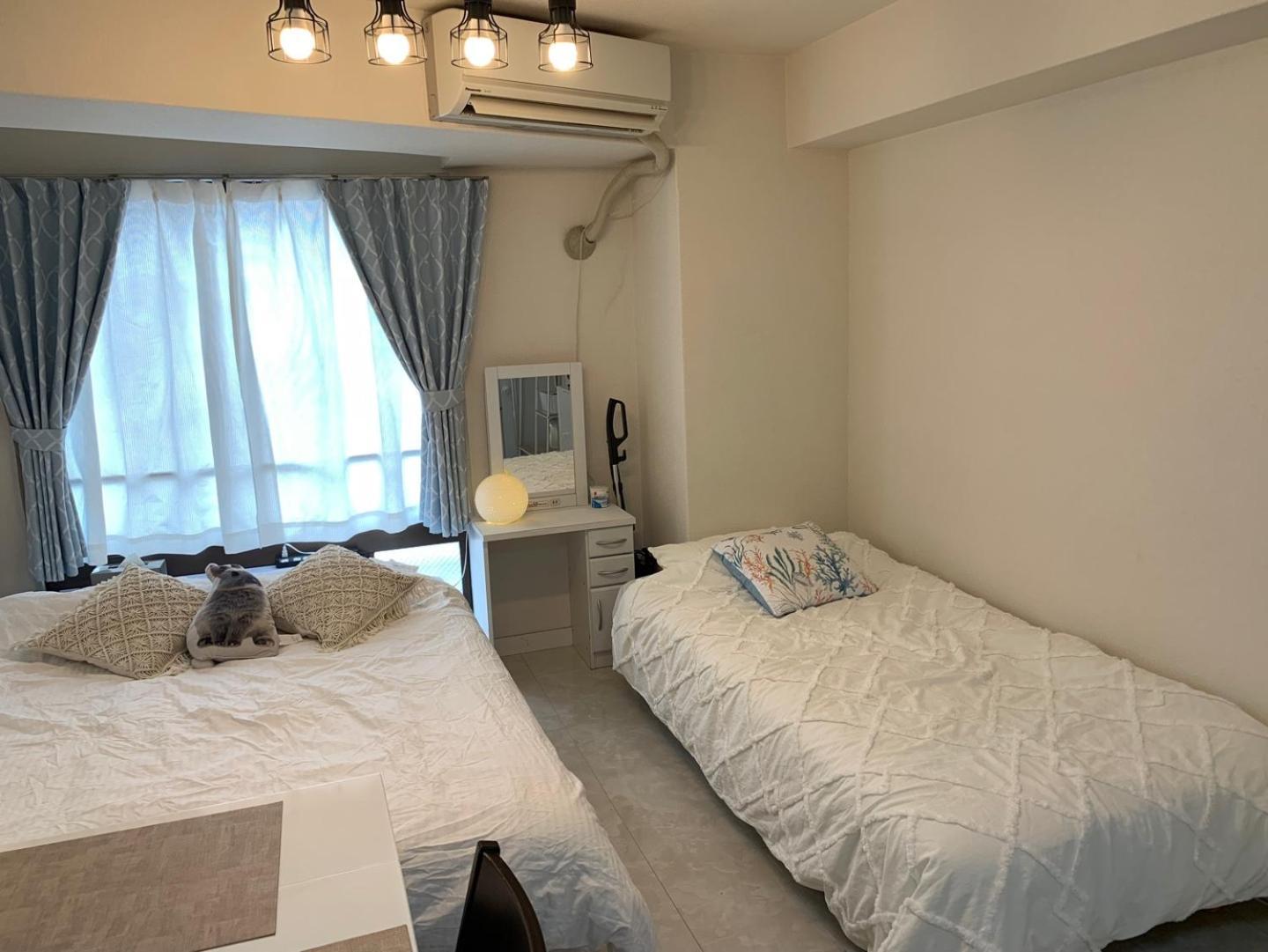 803 Near Koiwa Station Walk 1min Apartment Tokyo