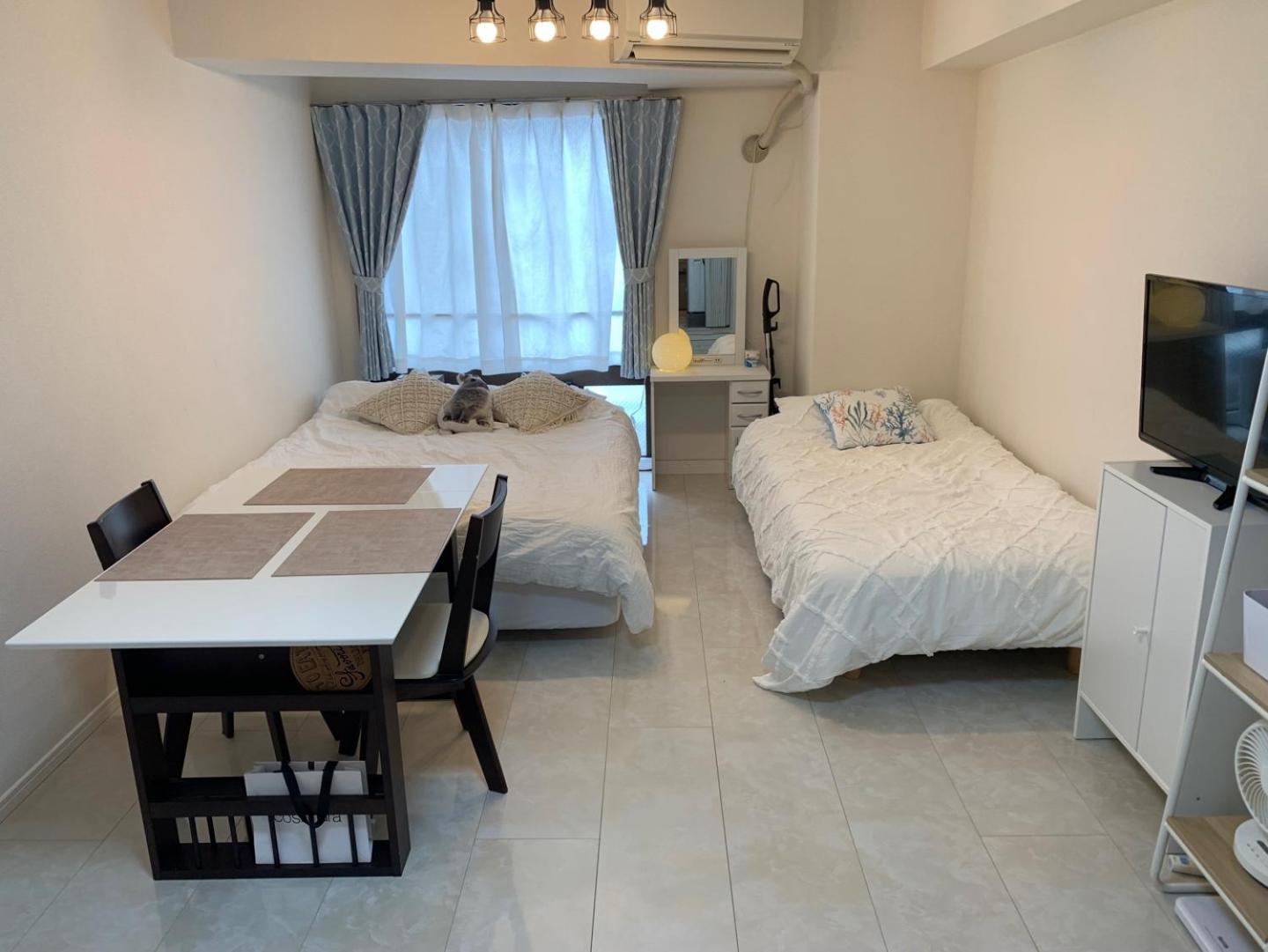 803 Near Koiwa Station Walk 1min Apartment Tokyo